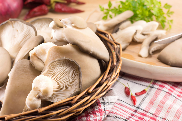 La gírgola y sus beneficios para la salud