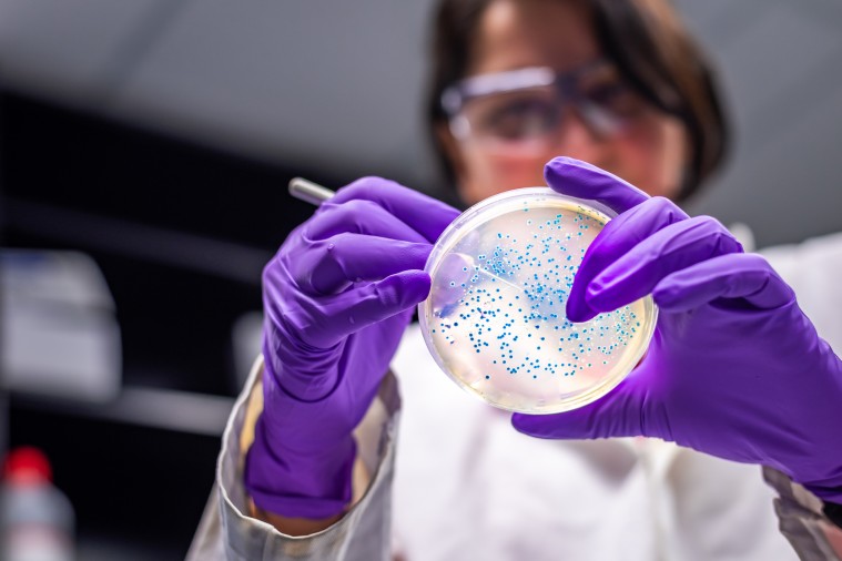 Las bacterias cada vez son más resistentes a los antibióticos