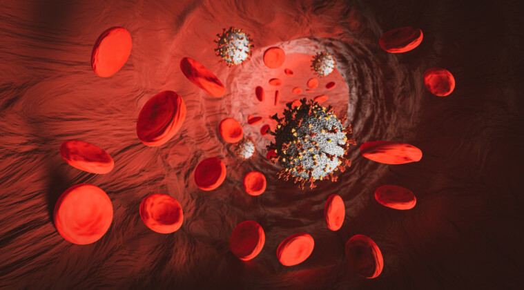 ¿Qué sabemos de las enfermedades de la sangre?