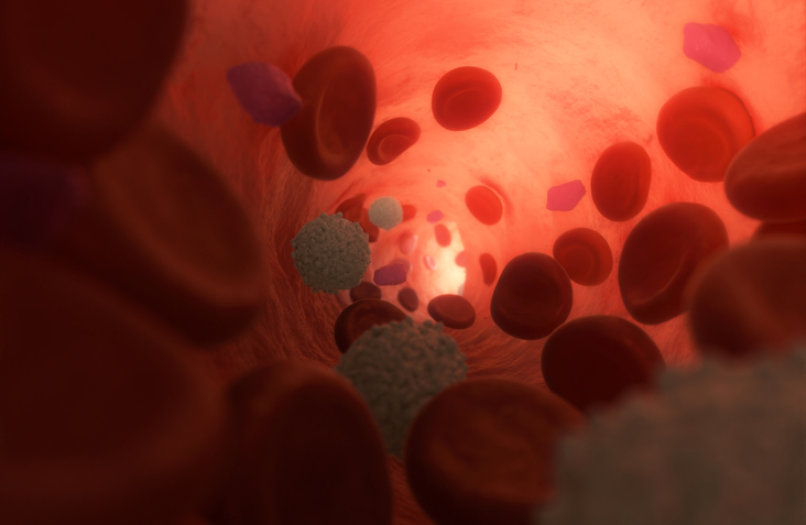 Estas son las enfermedades de la sangre más comunes que debes conocer